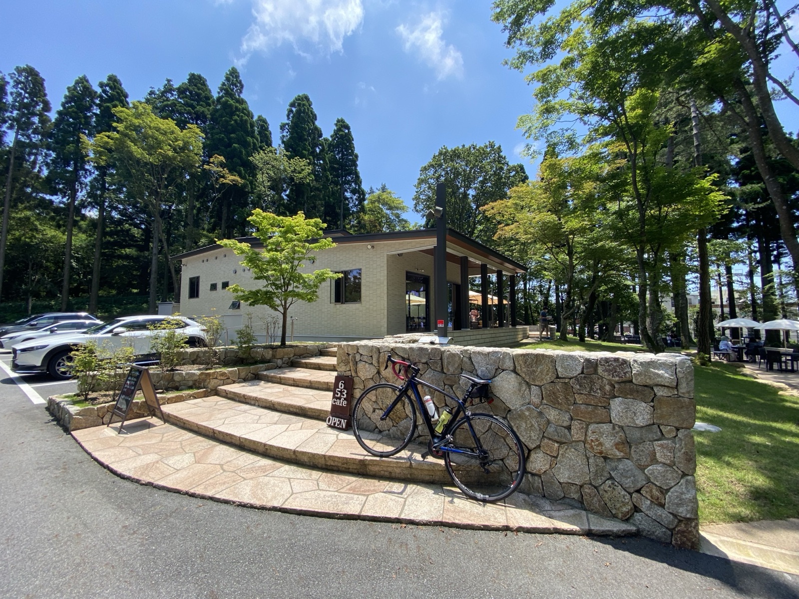 神戸・アマデラスグループ